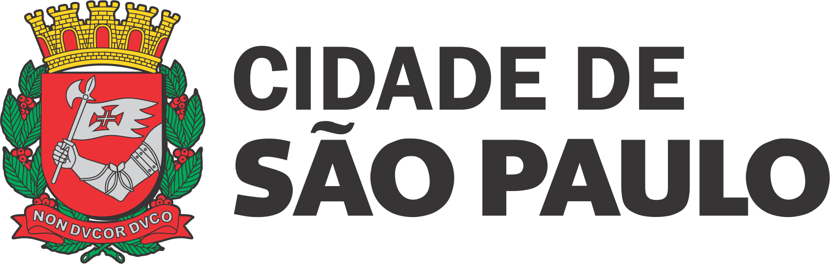 City of São Paulo